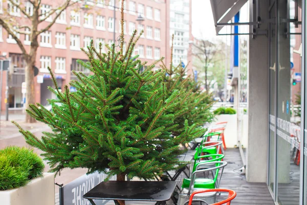 Café al aire libre en la ciudad europea en Navidad —  Fotos de Stock