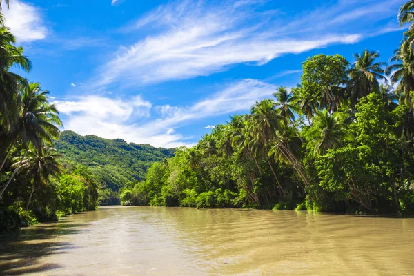 熱帯ロボック川、青い空、ボホール島、フィリピン — ストック写真