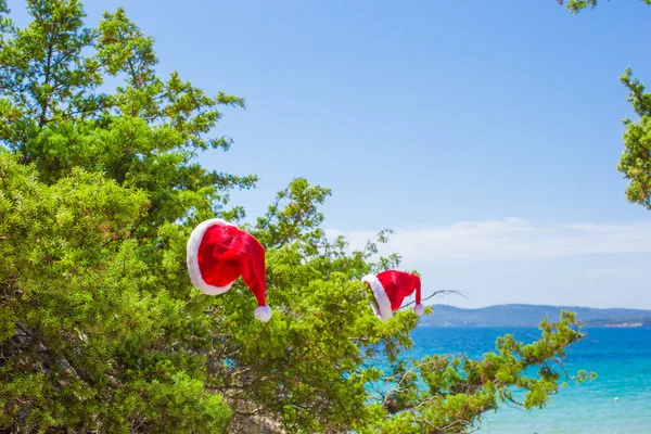Czerwony Boże Narodzenie kapelusz na gałęzi tle turkusowe morze — Zdjęcie stockowe