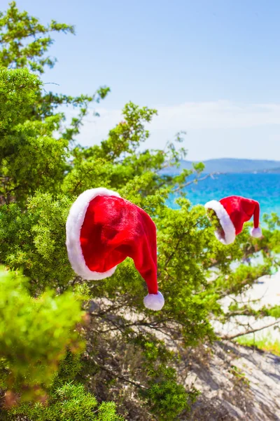 Red christmas hat on coniferous branch on white beach — Stock Photo, Image