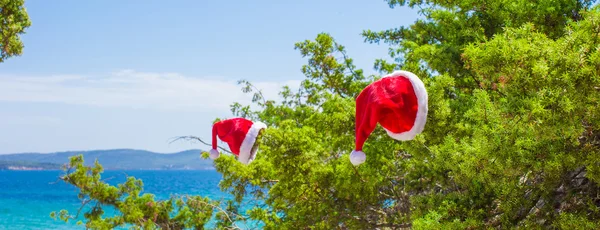 Rote Weihnachtsmütze auf Zweig Hintergrund türkis Meer — Stockfoto