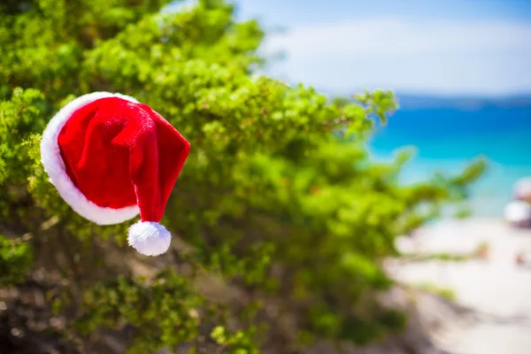 Kırmızı Noel şapkası arka plandaki turkuaz denizde. — Stok fotoğraf