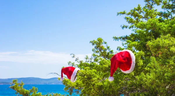 Kırmızı Noel şapkası arka plandaki turkuaz denizde. — Stok fotoğraf