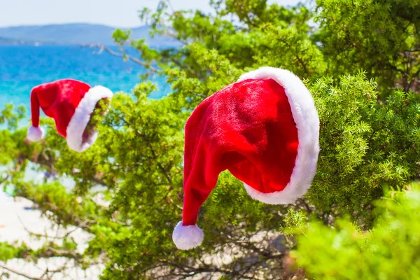 Red christmas hat on coniferous branch on white beach — Stock Photo, Image