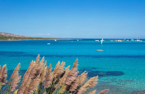 Hermosa vista del mar turquesa claro en Cerdeña — Foto de Stock