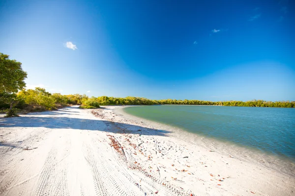 Обильный идеальный пляж на экзотическом острове — стоковое фото