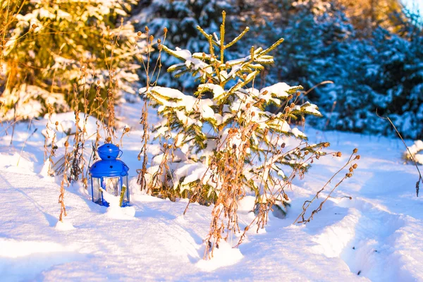 Schöne blaue Laterne mit Kerze auf weißem Schnee im Freien — Stockfoto