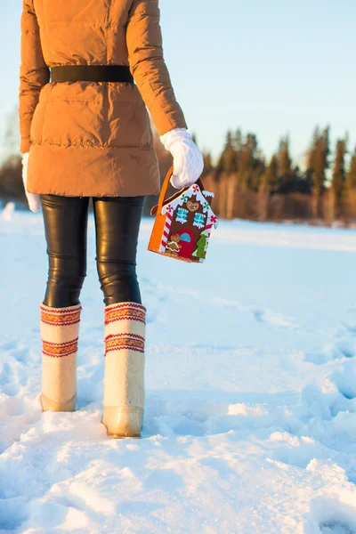 Winter Holiday Gingerbread house — Stock Photo, Image