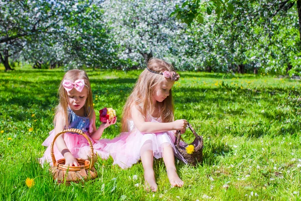 Adorable little girls have fun in blossoming apple tree garden at may — Stock Photo, Image