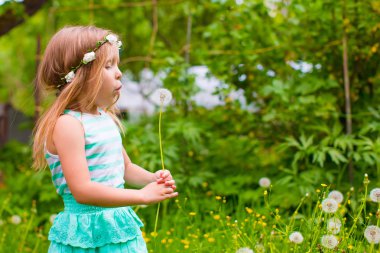 sevimli küçük kız bahçede bir karahindiba üfleme