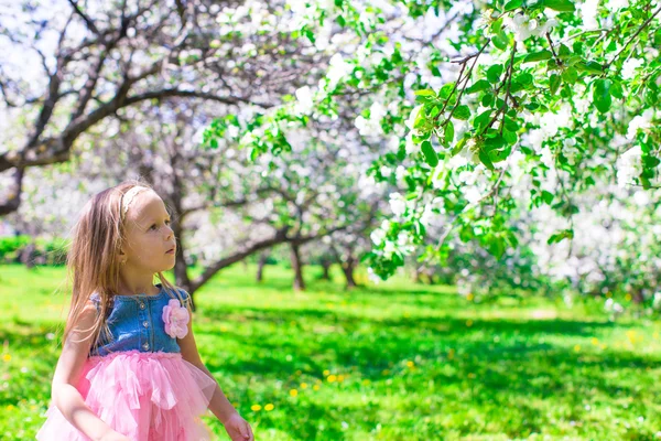 Liebenswertes kleines Mädchen im blühenden Apfelbaumgarten am Frühlingstag — Stockfoto