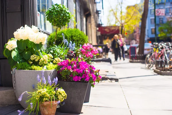 Leuchtende Blumen im Topf auf New Yorker Straßen — Stockfoto