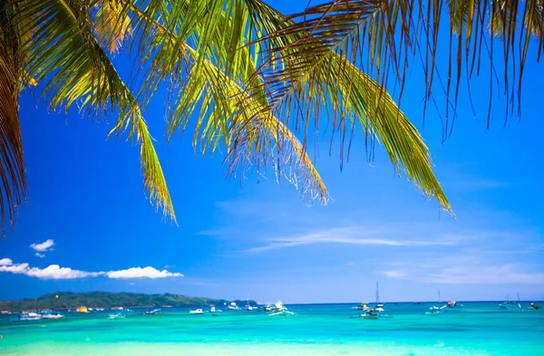 Playa tropical con hermosas palmeras y arena blanca — Foto de Stock