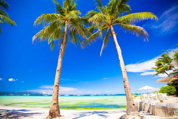 Güzel avuç içi ve beyaz kum ile tropikal plaj — Stok fotoğraf