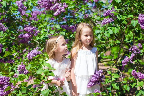 Bambine adorabili al parco degli alberi di fiori — Foto Stock