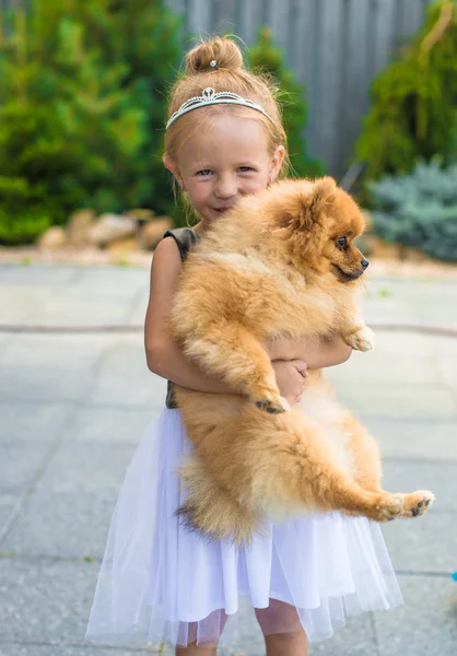 Park açık havada onun evde beslenen hayvan köpek ile küçük sarışın kız — Stok fotoğraf