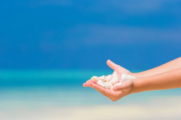 Close up of little girl hand holding beautiful sea shells — Stock Photo, Image