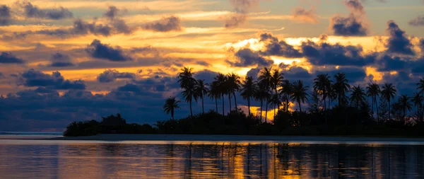 Günbatımı sahil, palmiye ağaçları ve şaşırtıcı bulutlu gökyüzü karanlık siluetleri — Stok fotoğraf