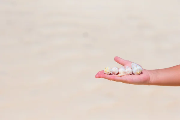 Close up of little girl hand holding beautiful sea shells — Stock Photo, Image