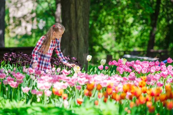 Маленькая очаровательная девочка в пышном саду тюльпанов — стоковое фото