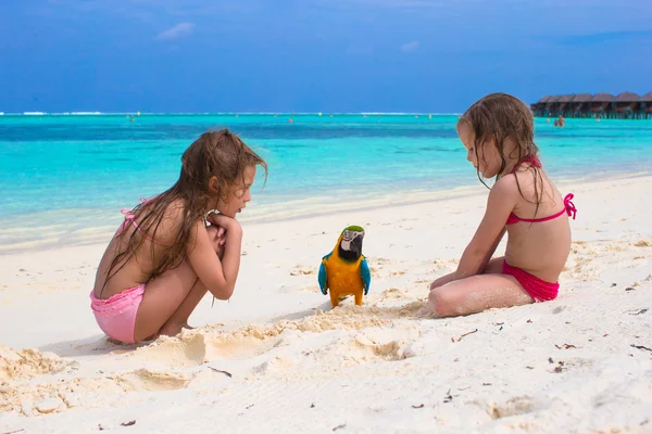 Adorable little girls at beach with big colorful parrot — Stock Photo, Image