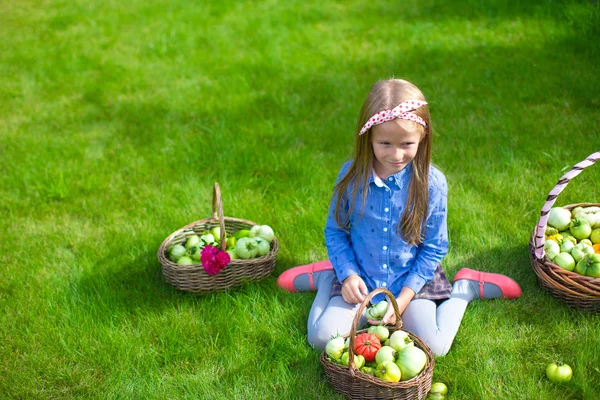 Adorable petite fille avec récolte d'automne de tomates dans des paniers — Photo