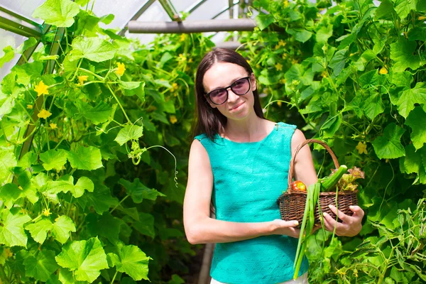 Jeune femme tenant un panier de verdure et de légumes dans la serre — Photo