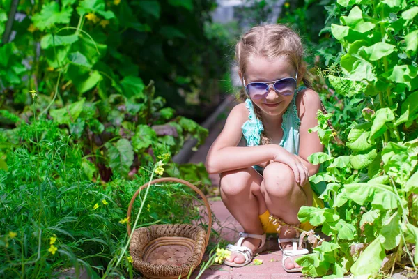 Pieni tyttö kerää sadon kurkut ja tomaatit kasvihuoneessa — kuvapankkivalokuva