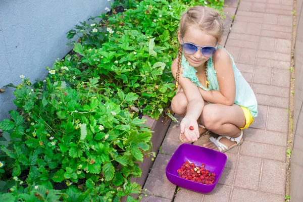 Retrato de niña adorable en el jardín de verano lleno de frutas y verduras —  Fotos de Stock