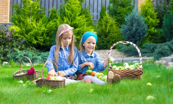 Due bambine felici con grande raccolto autunnale di pomodori in cestini — Foto Stock