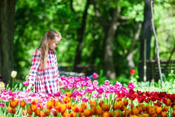 Маленькая очаровательная девочка с цветами в саду тюльпанов — стоковое фото