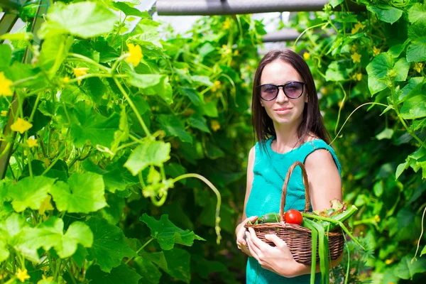 Mladá žena drží košík zeleně a zeleniny ve skleníku — Stock fotografie