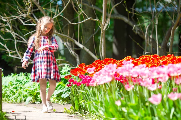 Rozkošná holčička s květy v zahradě tulipány — Stock fotografie