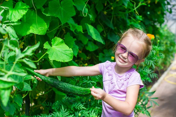 Bedårande liten flicka samla gröda gurka i växthuset — Stockfoto