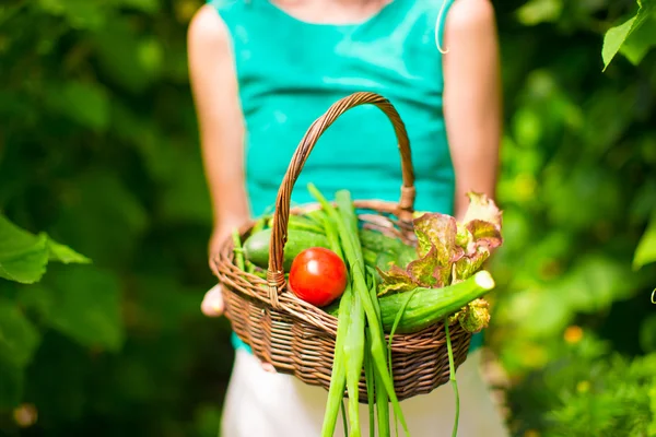 Close-up basket of greens in womans hands — Stock Photo, Image