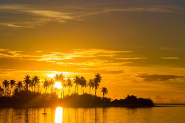 palmiye ağaçları ve şaşırtıcı bulutlu gökyüzü günbatımı, karanlık siluetleri