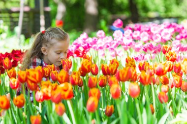 Lale bahçesinde sıcak bahar günü, küçük sevimli kız