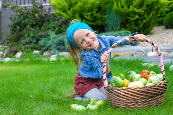 Little girl with great autumn harvest of tomatoes in baskets — Stock Photo, Image