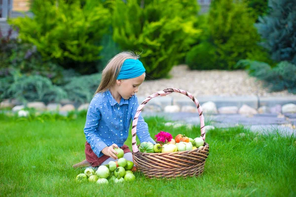 Bambina con grande raccolto autunnale di pomodori in cestini — Foto Stock