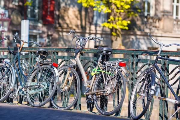 Rowery na moście w Amsterdam, Holandia — Zdjęcie stockowe