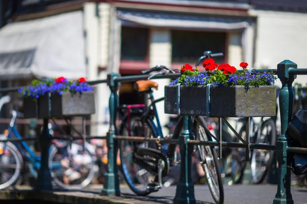 Bikes on the bridge with flowers in Amsterdam, Netherlands — Stock Photo, Image