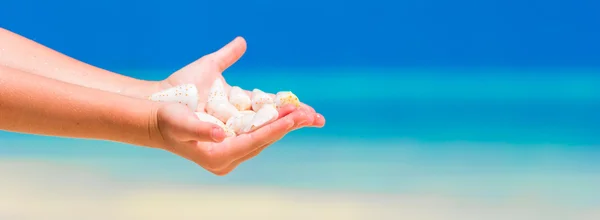 Nahaufnahme einer kleinen Mädchenhand, die wunderschöne Muscheln hält — Stockfoto