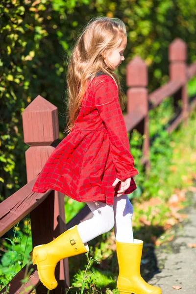 Adorável menina ao ar livre no belo dia de outono — Fotografia de Stock