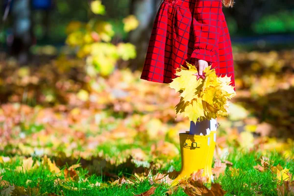 Bedårande liten flicka med gul lönn lämnar utomhus på vackra höst park — Stockfoto