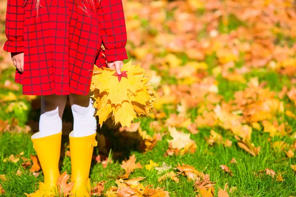 Adorabile bambina con foglie di acero giallo all'aperto nel bellissimo parco autunnale — Foto Stock