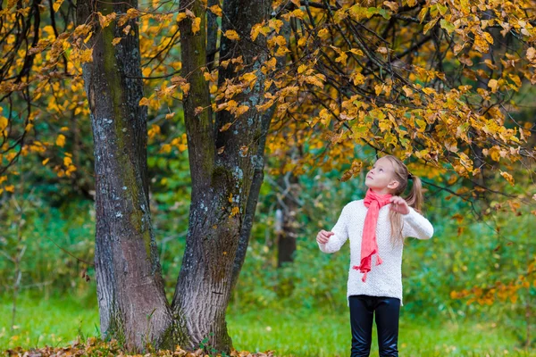 Adorable petite fille en plein air à la belle journée d'automne — Photo