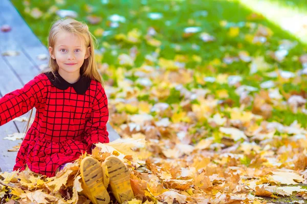 Adorabile bambina divertirsi all'aperto in bella giornata d'autunno — Foto Stock