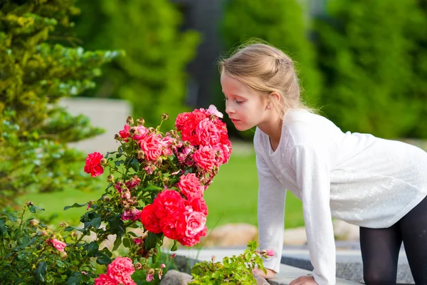 Little adorable girl smelling colorful flowers at summer day — Stock Photo, Image