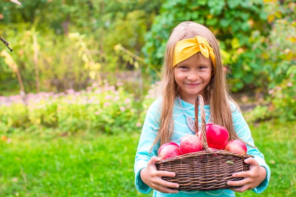 Little adorable girl with basket of red apples in sunny autumn day — Stock Photo, Image
