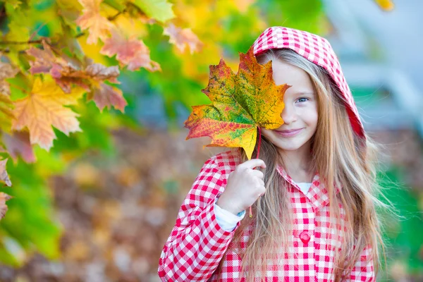 Sevimli küçük kız güzel sonbahar günü, renkli yaprak ile — Stok fotoğraf